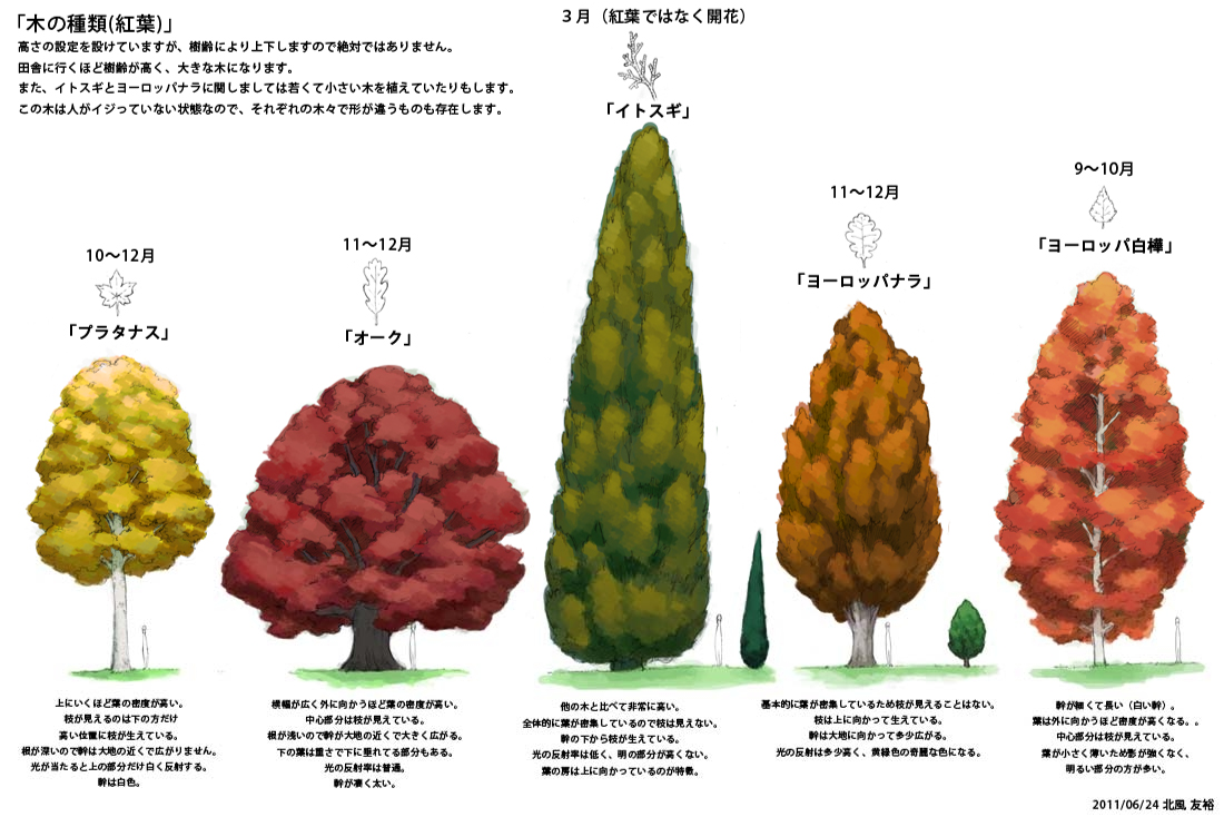 PokeXY_ConceptArt_605145_tree_02.png