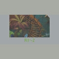 File: L_RA_LV2.png Rainforest Lv. 2 Preview.