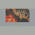 File: L_UNG_LV1.png Underground Lv. 1 Preview.