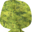 Lbp1_March08_floralgreen.tex.png