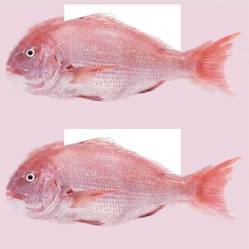 NintendoWareSDK-Bgs_fish.png