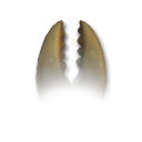 Jaw (Carnivore, 15 DNA) Jaw (Carnivore, 15 DNA)