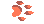 DeltaCH5-spr_tree_fox_print.gif