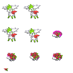 pmpl_516_frnt_flower_r10701.png pmpl_516_frnt_flower_r10701.png