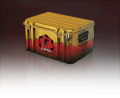 Danger Zone Case Danger Zone Case