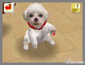 NintendogsFebruary2005Screenshot7.jpg NintendogsFebruary2005Screenshot7.jpg
