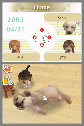 Ds_Nintendogs_ss_01.jpg Ds_Nintendogs_ss_01.jpg