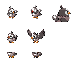 pmpl_429_frnt_m_r12405.png pmpl_429_frnt_m_r12405.png