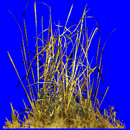 CSDS-Recoil_scrub_01.png_‎