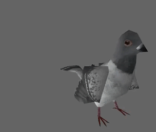 Generations_pigeon_stay_flap.gif