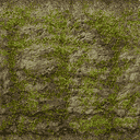 TFA2004_amazon2Level_JUNGLE_CLIFF_MOSS.png