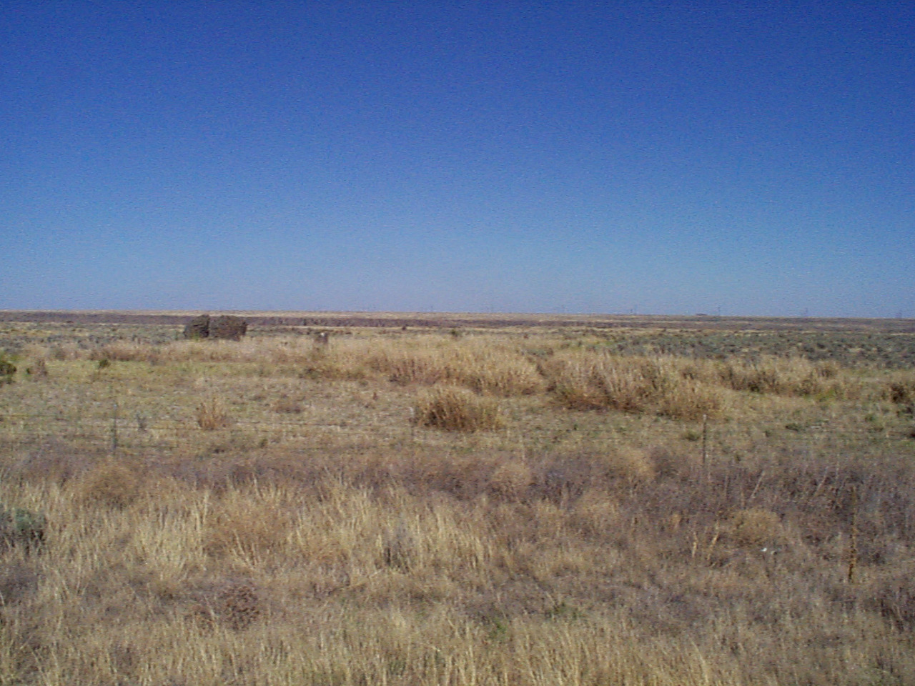 desert11 desert11