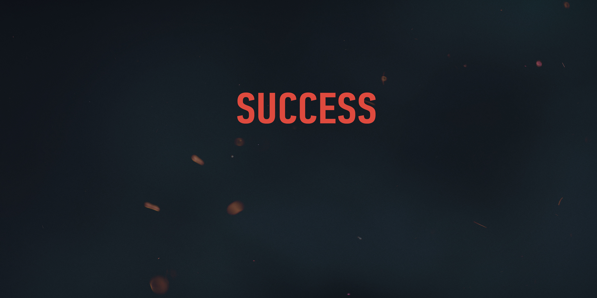 Unused "Success" screen. Defined to be used as success screen of Camp of all things.