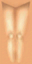 Hls_legs_front1.png Hls_legs_front1.png