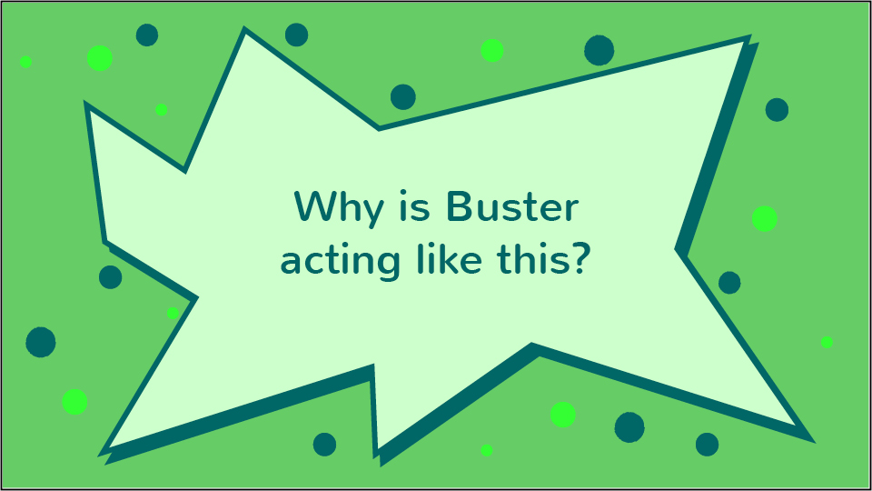 Buster's_Growing_Grudge_question_3.jpg