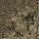 DungeonSiege2-b_t_for01_wal_04x04-c.png DungeonSiege2-b_t_for01_wal_04x04-c.png