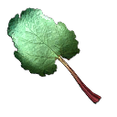 bu_rhubarb bu_rhubarb