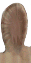 Mouse_ear Mouse_ear