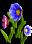 CBFD_flowers1.gif