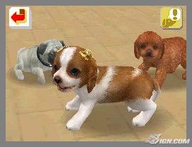 NintendogsFebruary2005Screenshot23.jpg NintendogsFebruary2005Screenshot23.jpg