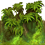 gorg_feuillage1_nz gorg_feuillage1_nz