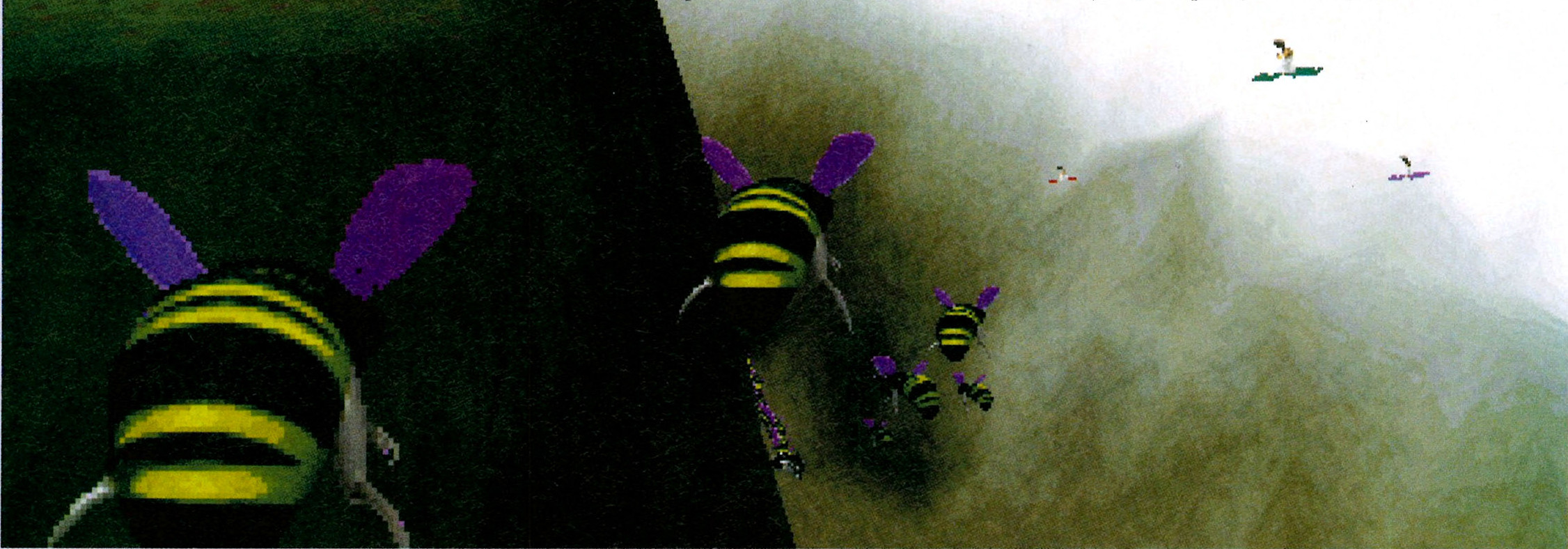 Very different looking giant bees Very different looking giant bees