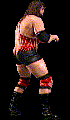 wwfwrestarc-A2AM2A.gif