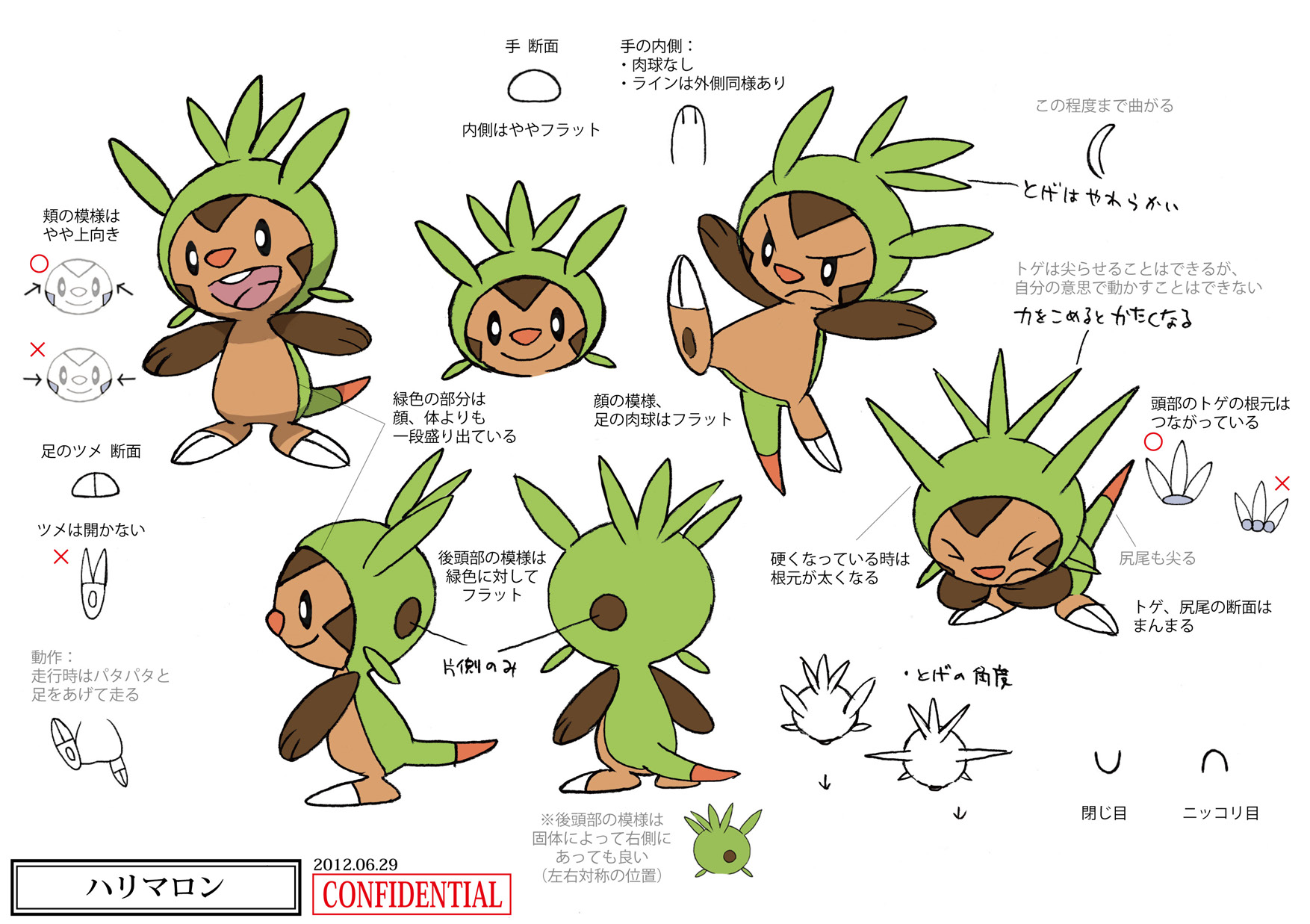 PokeXY_ConceptArt_ハリマロン_三面図.png