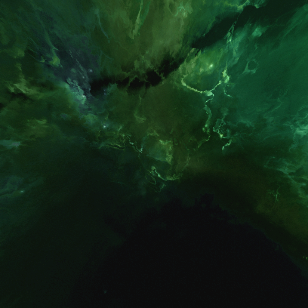 BMS-xen_sky_6_greenlf.png