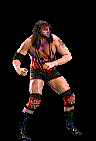 wwfwrestarc-A4UP3A.gif