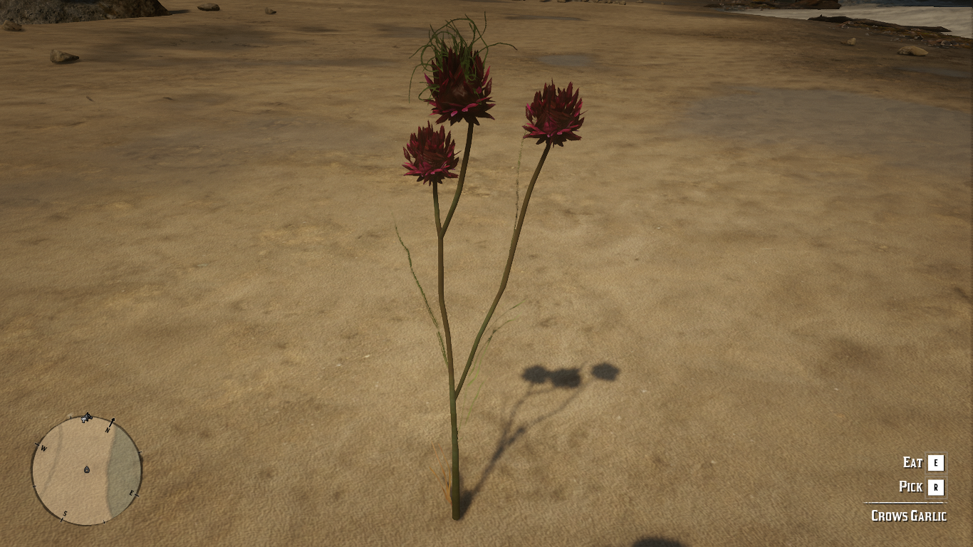 RDR2-CrowsGarlicHerbInGame.png RDR2-CrowsGarlicHerbInGame.png