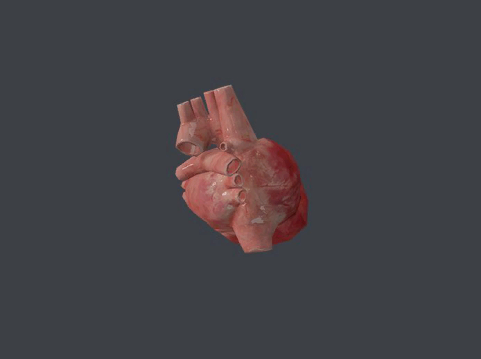 Soders' heart from Hokkaido.