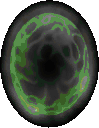 Diablo2_AuraInspiration.gif Diablo2_AuraInspiration.gif