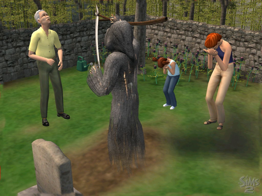 TS2_Jul_8_04_Image3.jpg