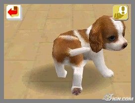 NintendogsFebruary2005Screenshot15.jpg NintendogsFebruary2005Screenshot15.jpg