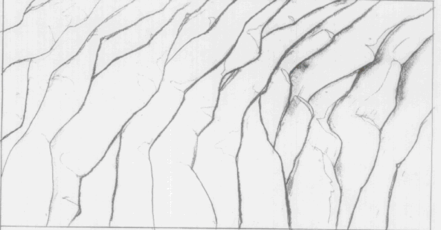 Cave Wall. Cave Wall.