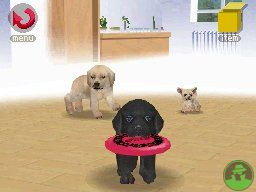 NintendogsJanuary2005Screenshot9.jpg NintendogsJanuary2005Screenshot9.jpg