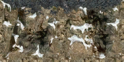 DungeonSiege2-b_t_sn02_rvr_fall-08x04-b.png DungeonSiege2-b_t_sn02_rvr_fall-08x04-b.png
