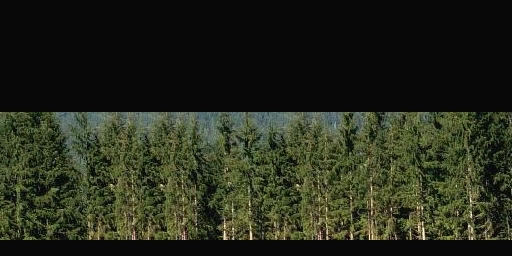 Hl2proto_treeline001a.jpg