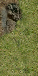 DungeonSiege-b_t_for02_rvr_04x08-12-right-01.png
