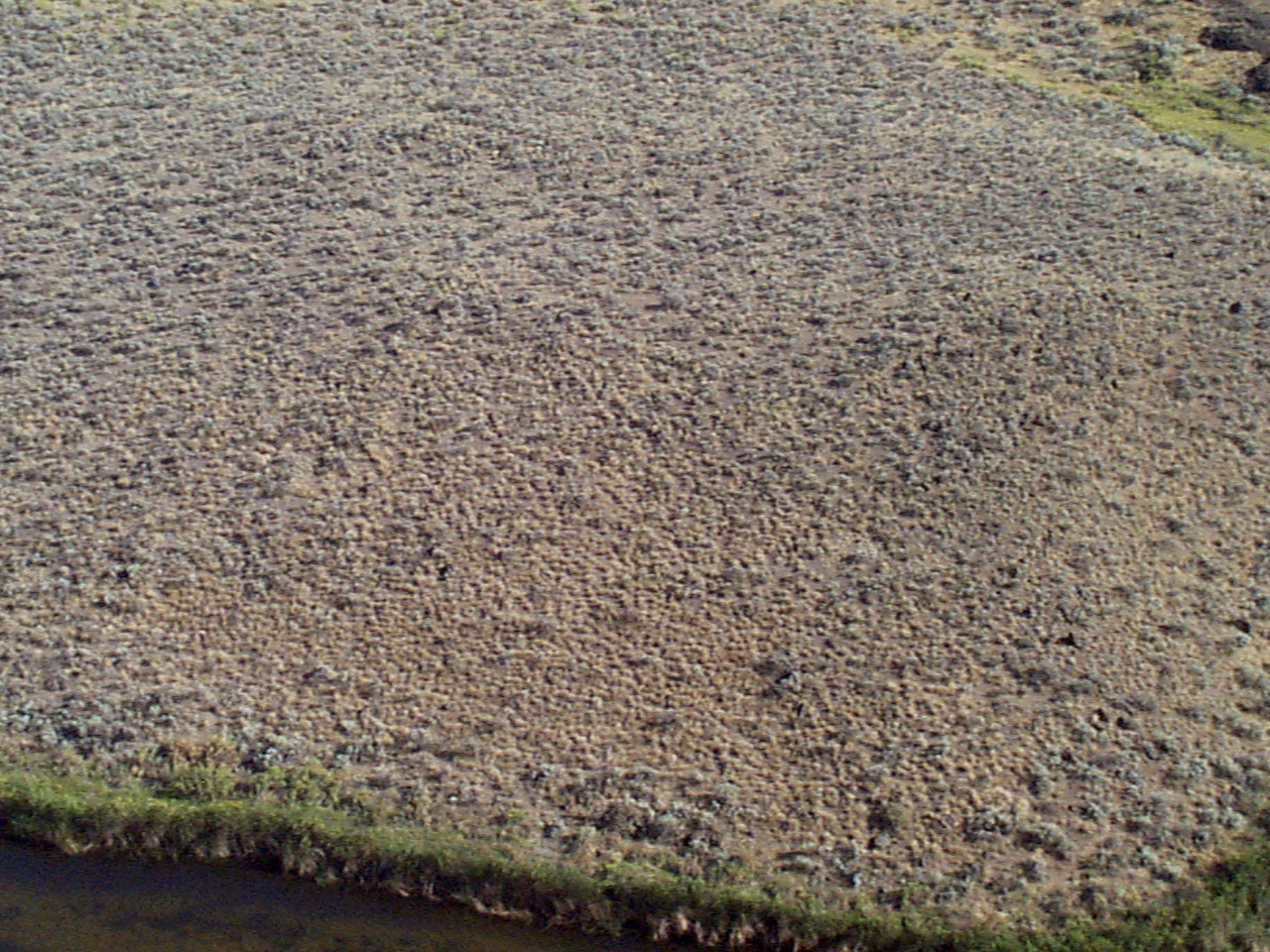 desert23 desert23