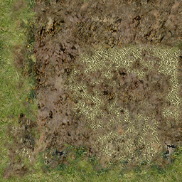 DungeonSiege-b_t_grs01_barnground-s-256-01.png