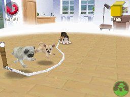 NintendogsJanuary2005Screenshot1.jpg NintendogsJanuary2005Screenshot1.jpg