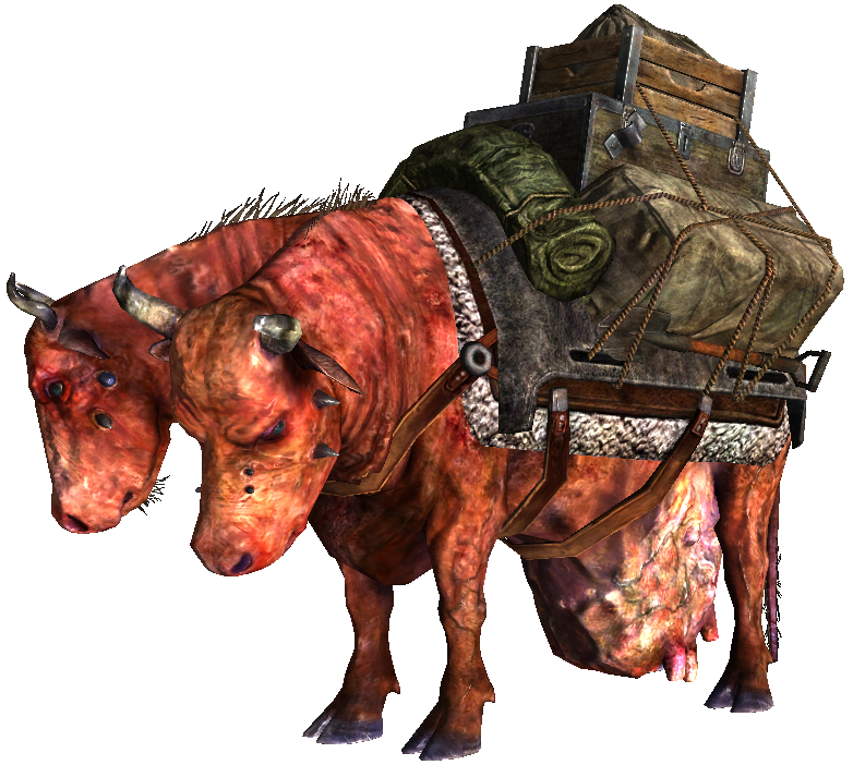 FO3-PackBrahmin.png FO3-PackBrahmin.png