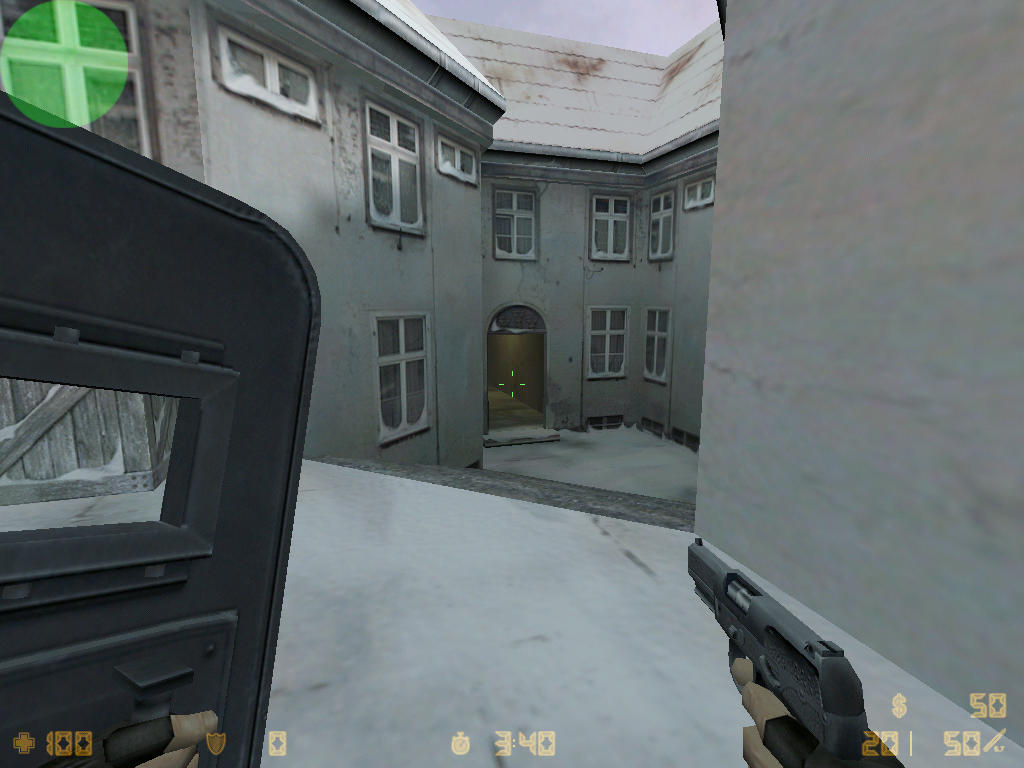 In-game Ballistic Shield screenshot.