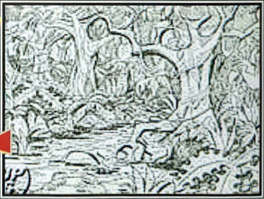 A river in Shimedori Forest. A river in Shimedori Forest.