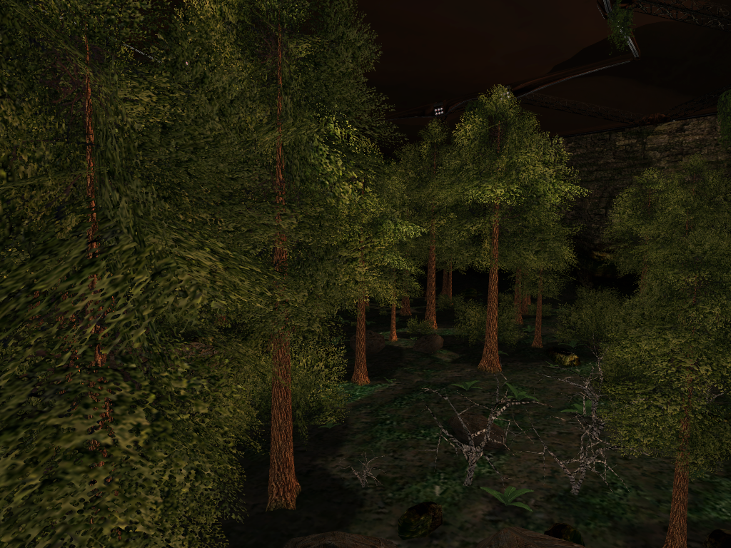 Forest Forest