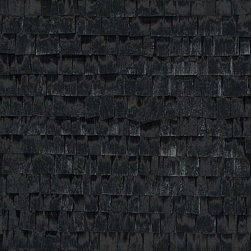 HL2EP2-wood-woodshingles002a.png