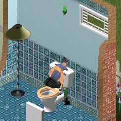 Said animation, when called by an adult Sim.