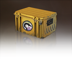Recoil Case Recoil Case